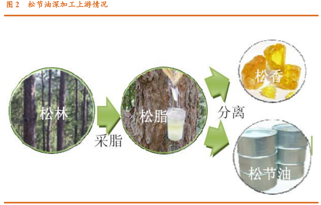 香精與香料(23)-醫(yī)藥中間體和香精香料的林產化學龍頭企業(yè)