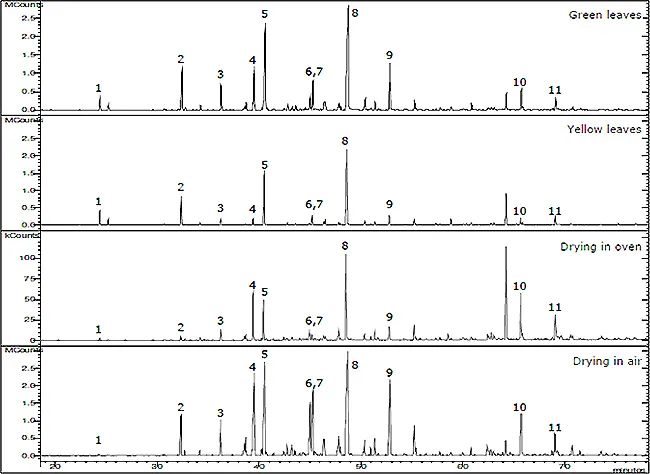 香水的香氣從何而來(lái)？