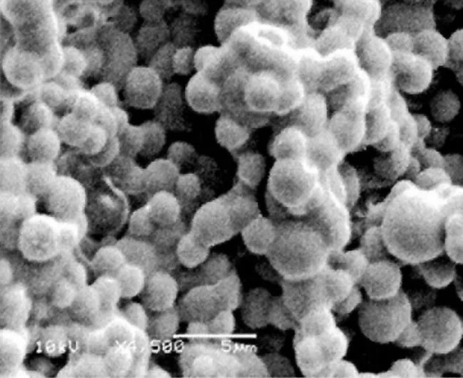 香水的香氣從何而來(lái)？