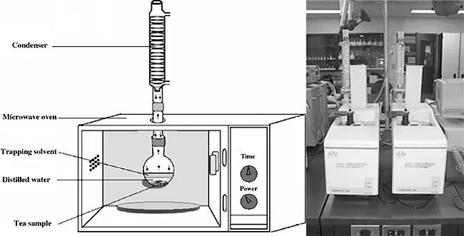 香水的香氣從何而來(lái)？