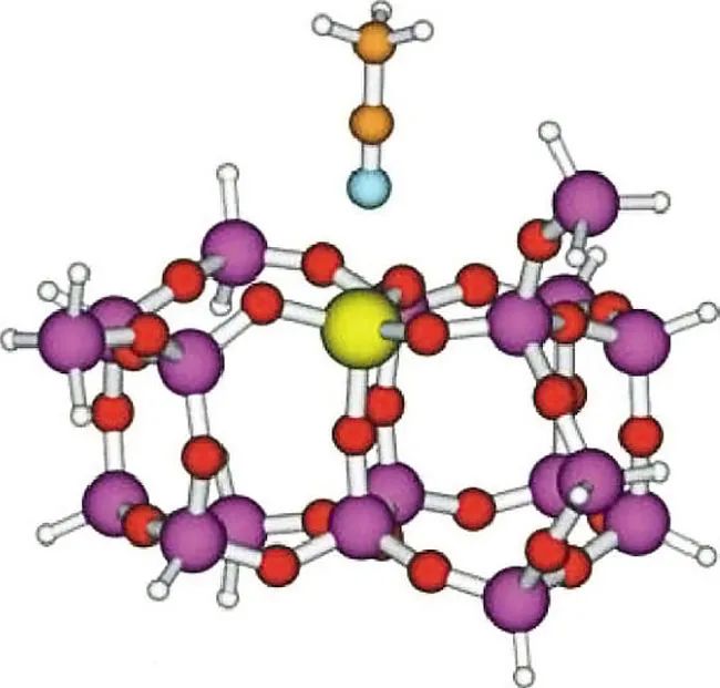 香水的香氣從何而來(lái)？