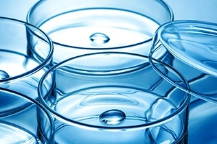 香料香精高新企業(yè)簡介(6)——OnScent 香料香精高新企業(yè)簡介(6)——OnScent