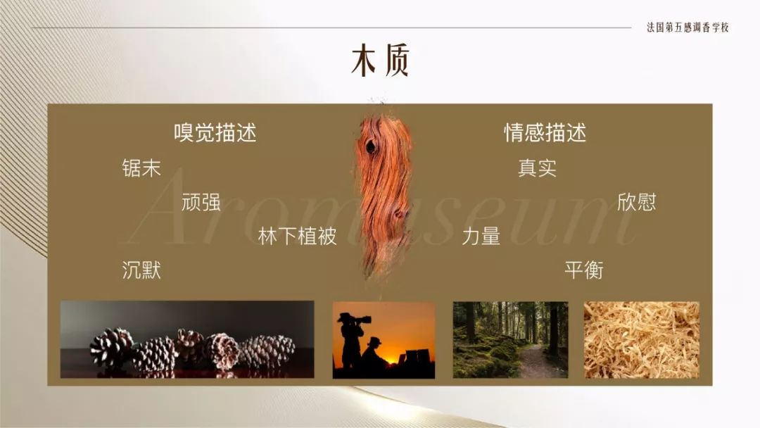 為什么有人一身果香，有人卻一身藿香？